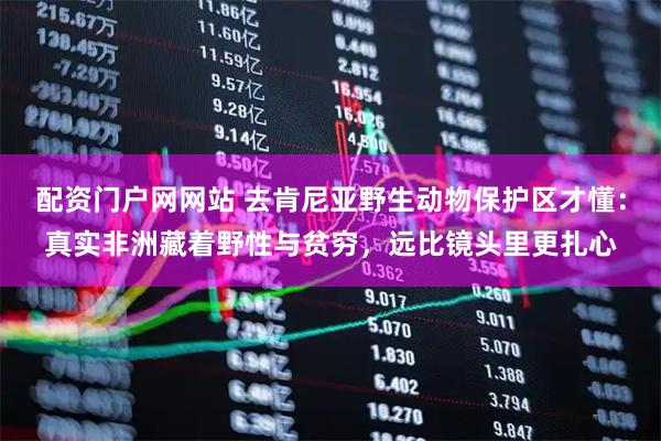 配资门户网网站 去肯尼亚野生动物保护区才懂：真实非洲藏着野性与贫穷，远比镜头里更扎心