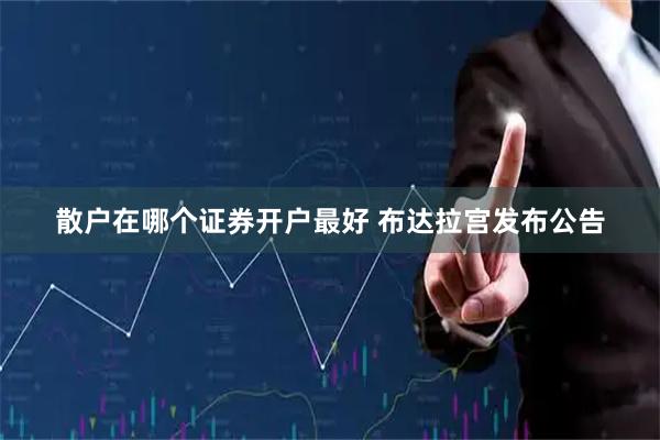 散户在哪个证券开户最好 布达拉宫发布公告